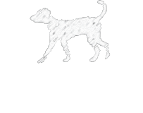 chien blanc 余白を味わう、大人の料理教室